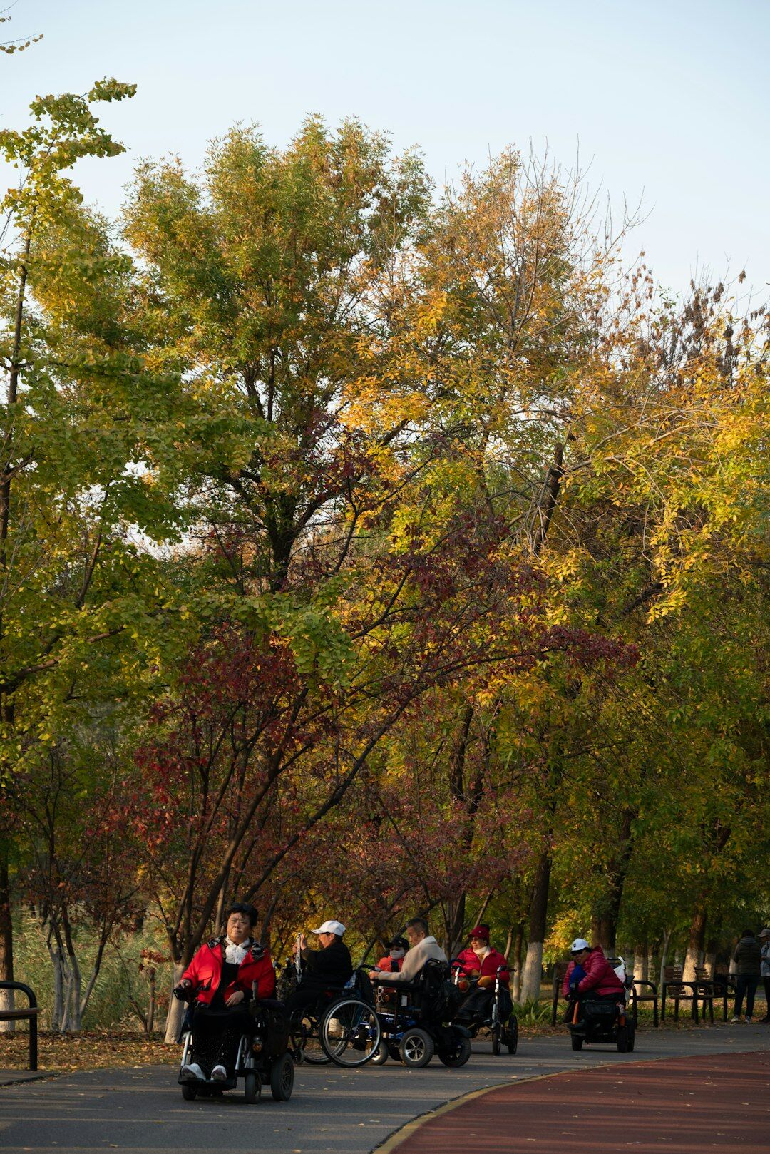 seniors exercising in park